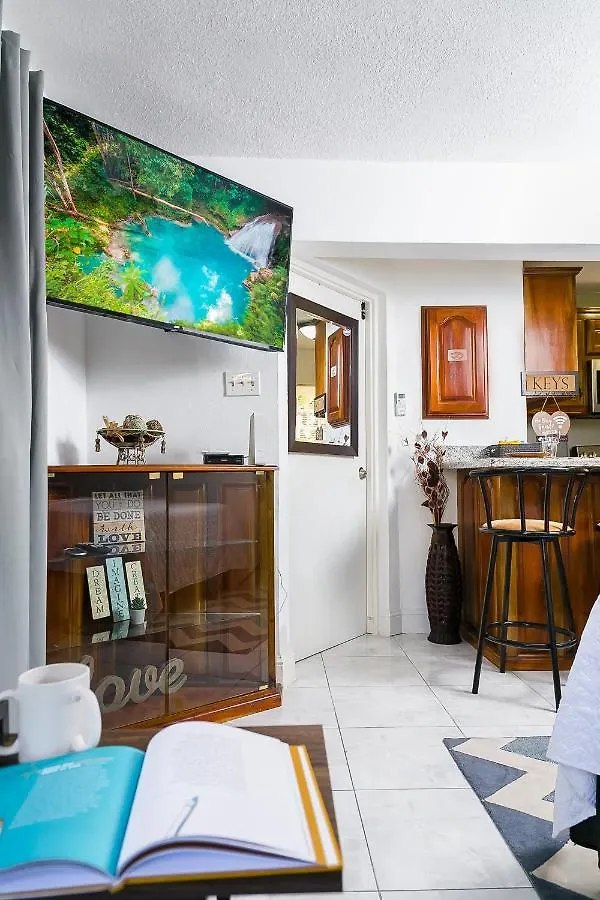 Quaint Mini-Mystic Studio! Apartment Ocho Rios 0*,  Jamaica